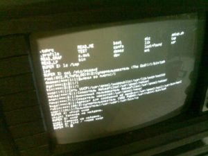 Советская операционная система называлась… «ДЕМОС». По сути, это локализованная копия западной UNIX. Разработчики были награждены в 1988 году премией Совета министров СССР по науке и технике. Проект закрыт в начале 1990-х.