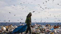 Дело дорогое, но необходима генеральная уборка на "кладбищах мусора" © Петр Ковалев/ТАСС