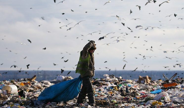 Дело дорогое, но необходима генеральная уборка на "кладбищах мусора" © Петр Ковалев/ТАСС