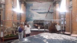 Выставка "На дрейфующих льдах Арктики" в Санкт-Петербурге © Наталия Михальченко/ТАСС
