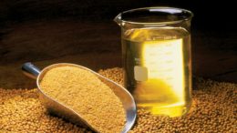 Экспорт соевого масла из Приамурья в КНР за год увеличился почти в четыре раза