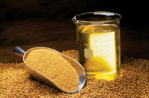 Экспорт соевого масла из Приамурья в КНР за год увеличился почти в четыре раза