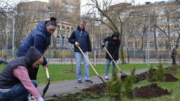 Около 800 тыс. деревьев высадили в Москве за девять лет. Также с 2011 года в рамках городских программ высадили более 8,5 млн кустарников.