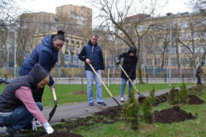 Около 800 тыс. деревьев высадили в Москве за девять лет. Также с 2011 года в рамках городских программ высадили более 8,5 млн кустарников.